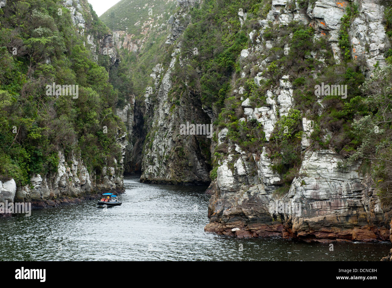 Boat trip in the Storms River Gorge, Tsitsikamma, Garden Route National Park, South Africa Stock Photo