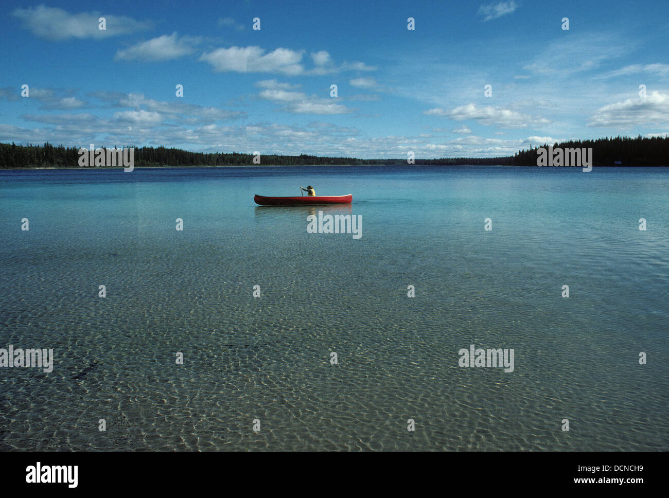 Canoeing on pine lake alberta hires stock photography and images Alamy