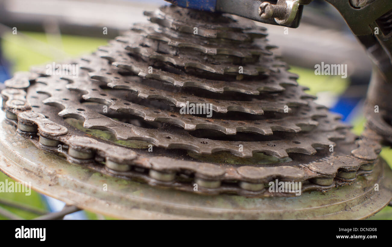 Gear set sales 8 speed