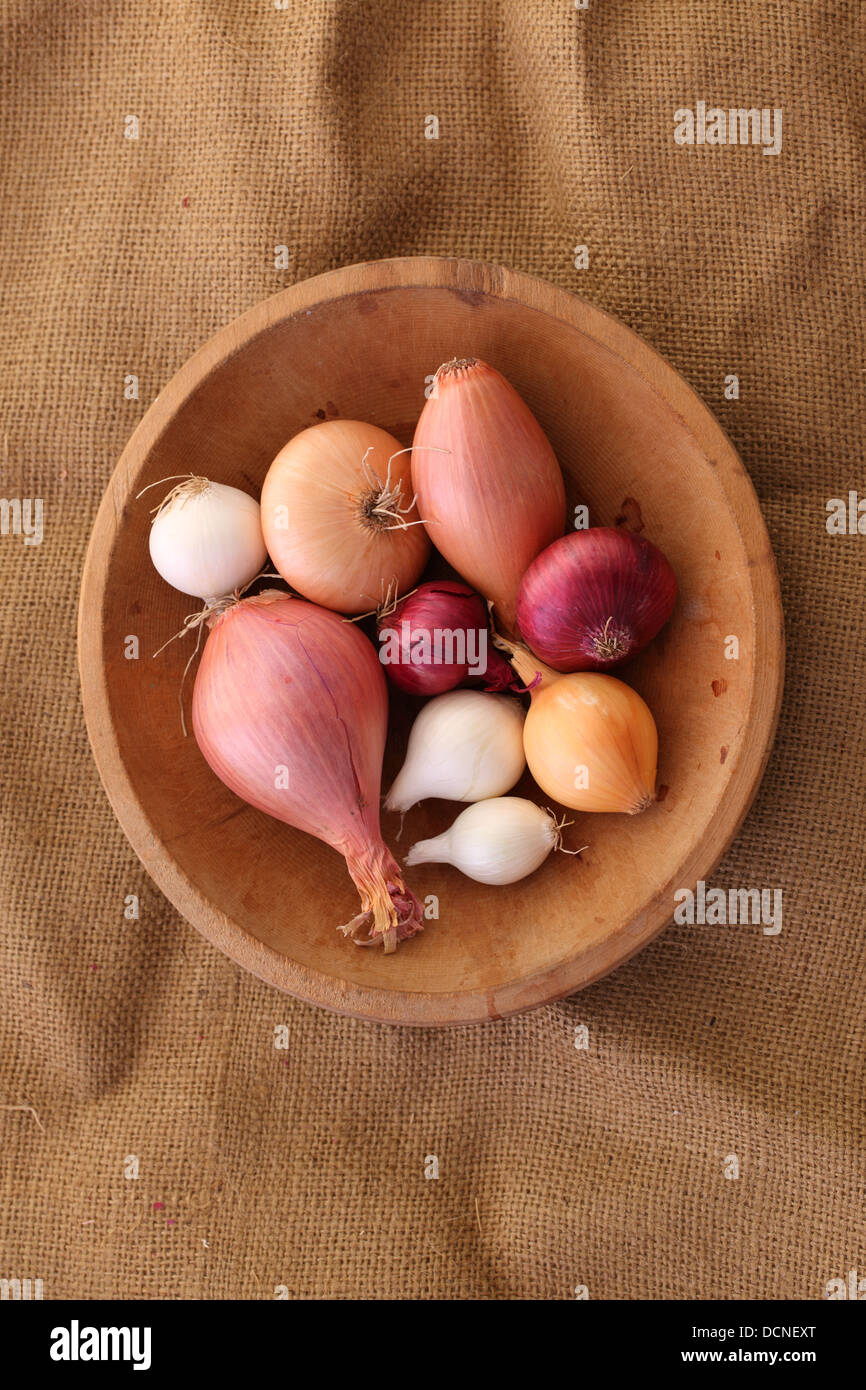 Bowl of Onion & Shallots Stock Photo