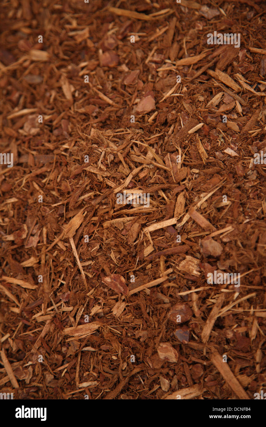 Background of Garden bark mulch Stock Photo