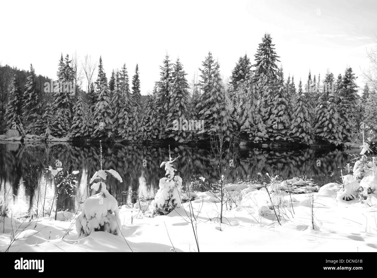 winter scene abroad a lake in Quebec, Canada, black and white picture Stock Photo