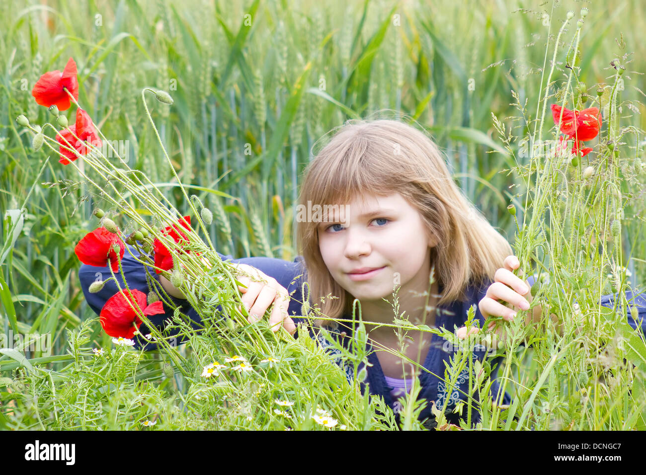 Cute young girl in poppy field Stock Photo - Alamy