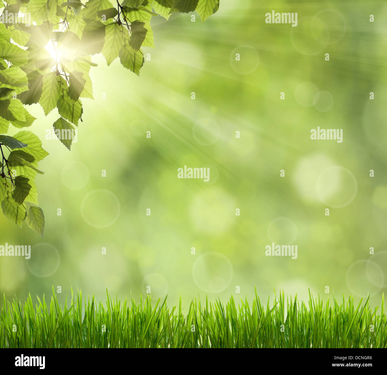 Wallpaper nature hi-res stock photography and images - Alamy