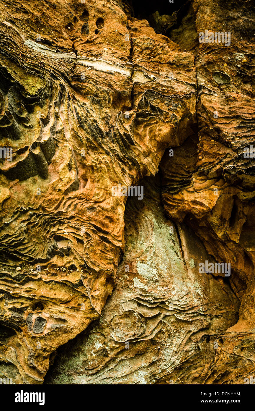 Weathered Rock Patterns, Natural Bridge State Park, Kentucky, USA Stock ...