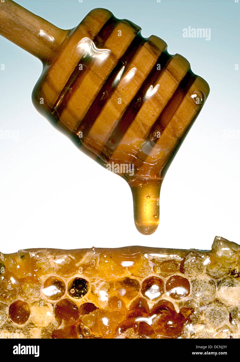 honey comb Stock Photo