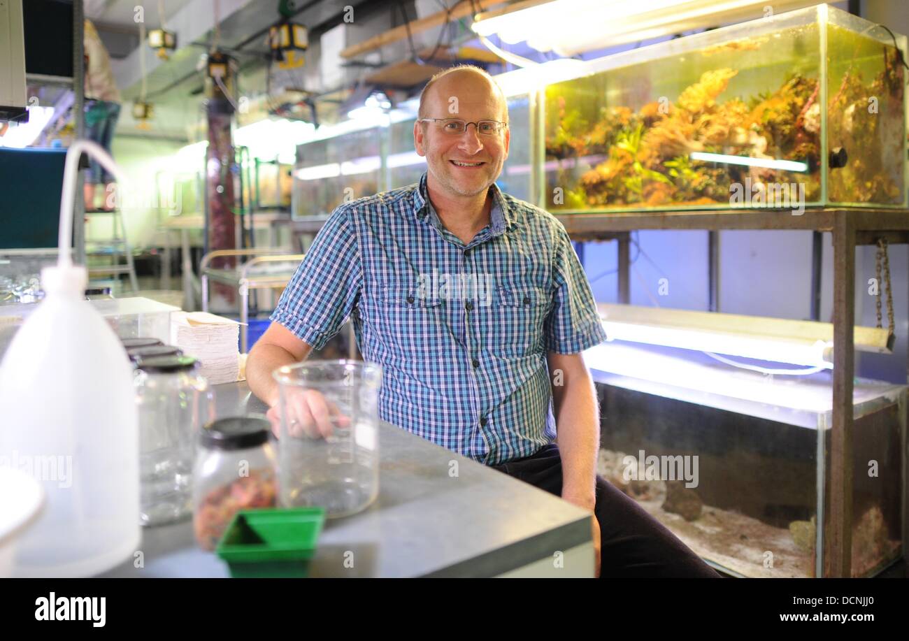 The fish expert Prof. Thorsten Reusch sits in a lab the GEOMAR ...