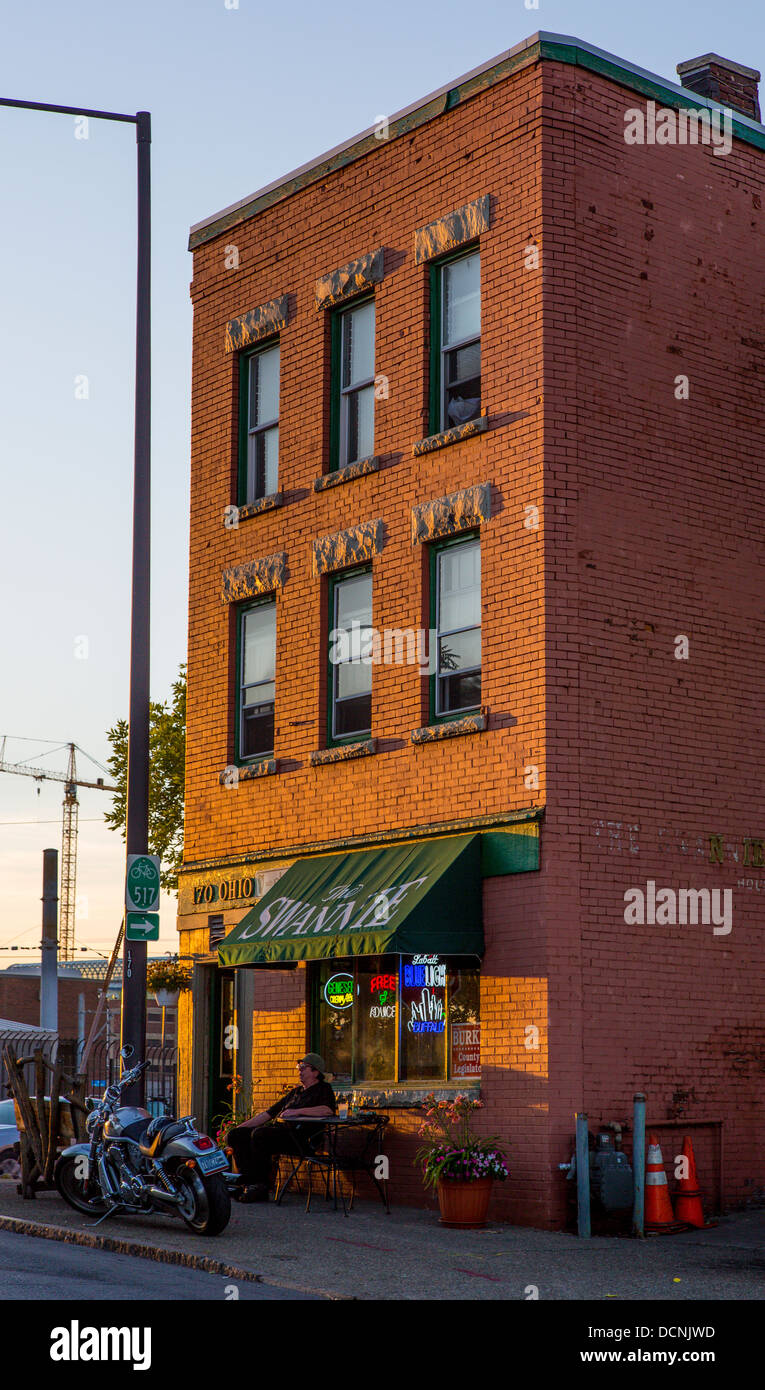 swannie house