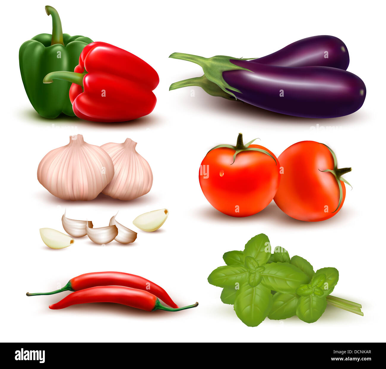 The big colorful group of vegetables. Vector illustration Stock Photo ...