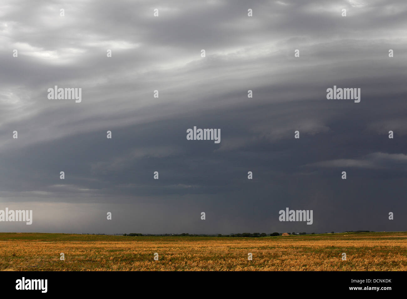 Shelf cloud above field; near horizon one can see red clouds of Nebraska dust being blown into the air. Stock Photo