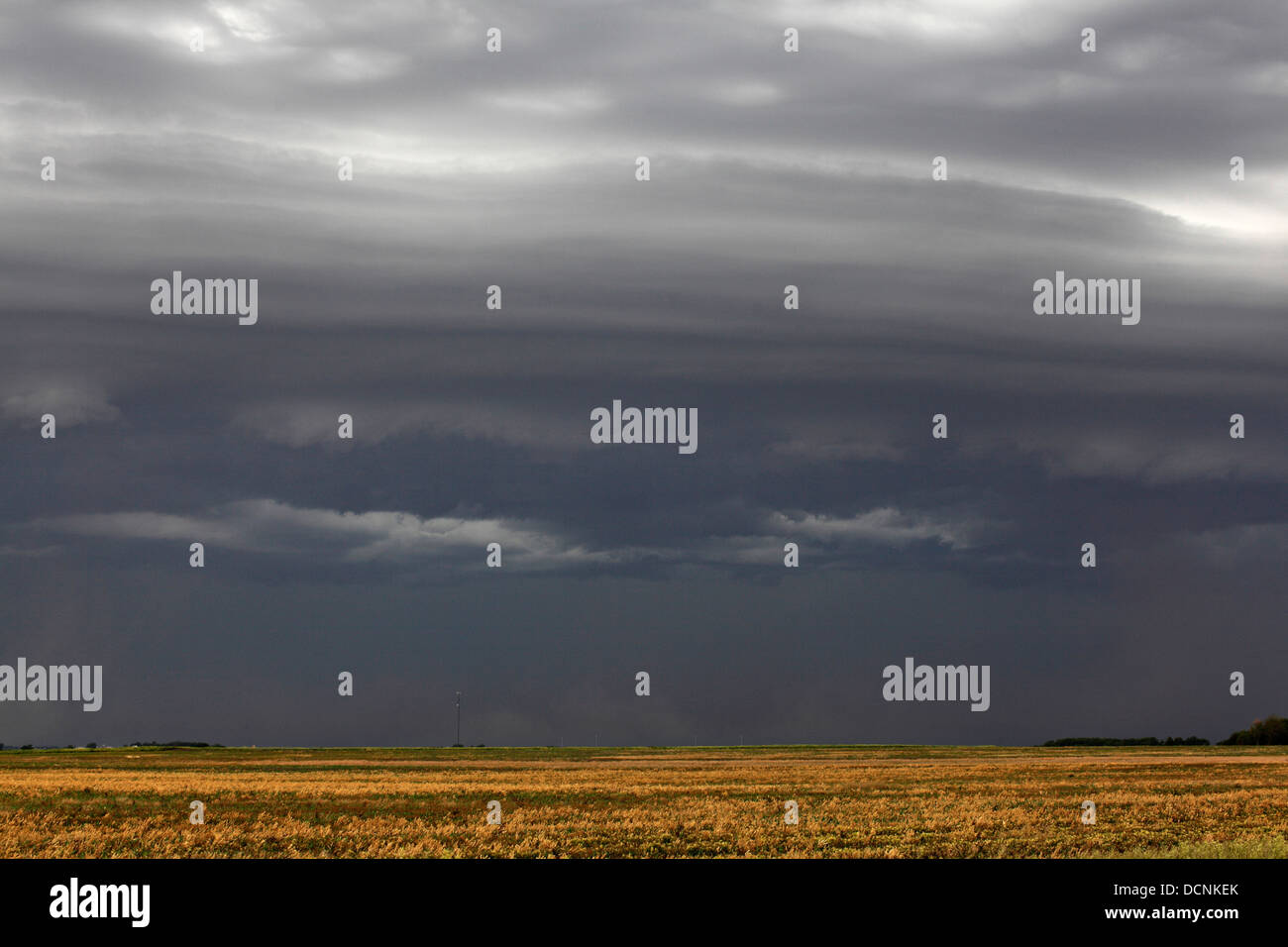 Ripples in the sky appear over field; red clouds near horizon indicate