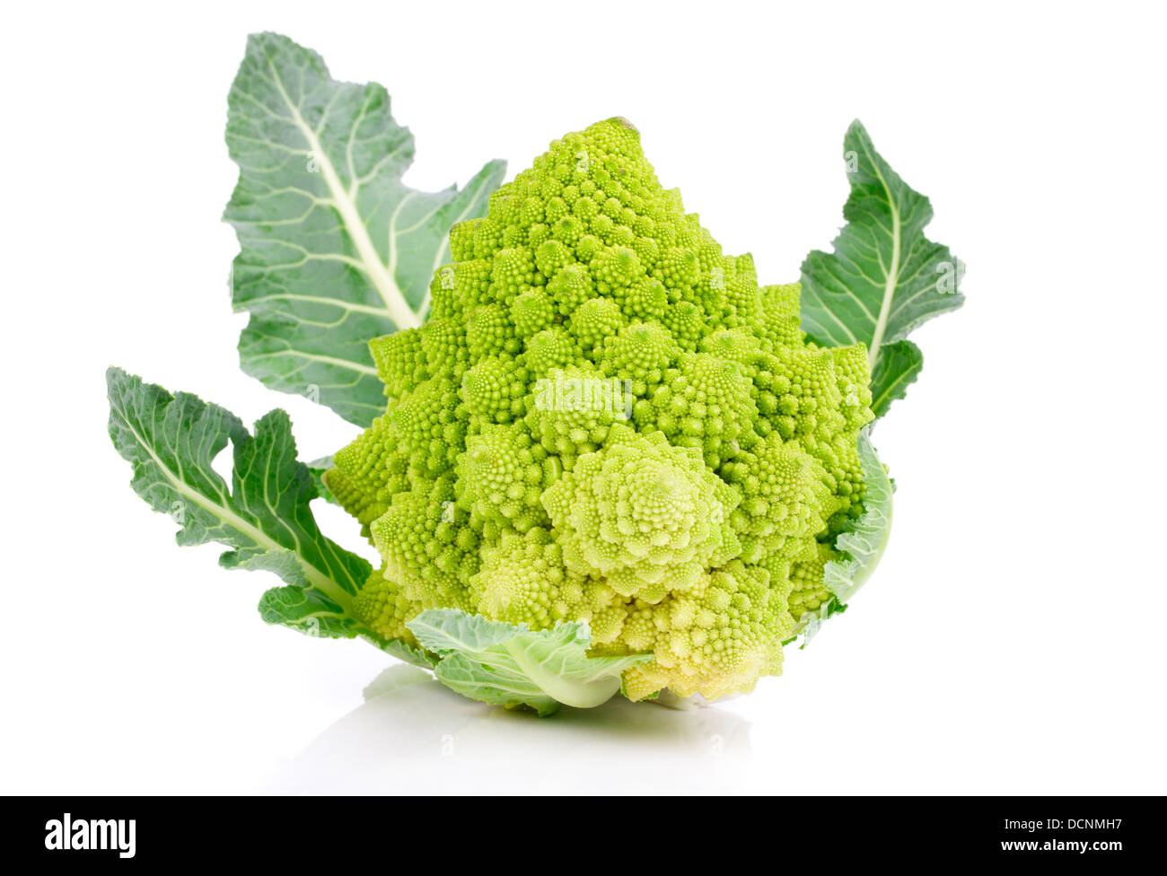 Rare broccoli. Romanesco broccoli cabbage, isolated on white background
