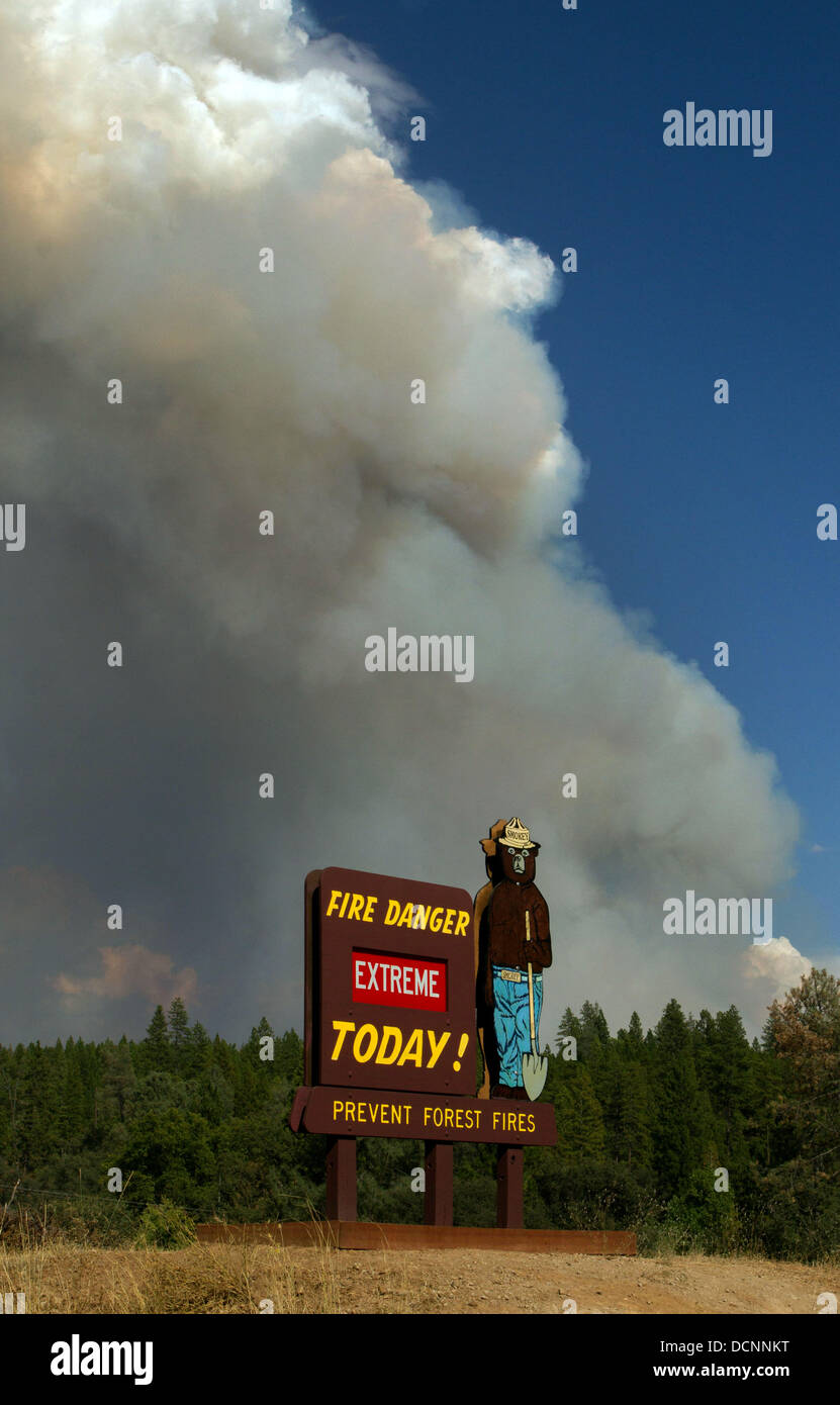 Buck Meadows, CA, USA. 20th Aug, 2013. Smokey the Bear was serious