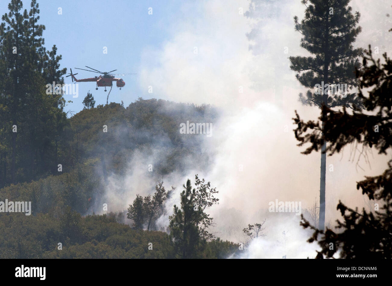 Buck Meadows, CA, USA. 20th Aug, 2013. A helicopter approaches a fire line to drop a load of water on the south west flank of the Rim Fire. The Rim Fire in the Stanislaus National Forest along Highway 120 has grown to over 10,000 acres as of August 20th 2013 with no containment. Over the past three days active fire has move up both sides of Jawbone Ridge, and the Tuolumne River. According to US Forest service website 2 homes have been lost and 5 outbuildings Credit:  Marty Bicek/ZUMAPRESS.com/Alamy Live News Stock Photo