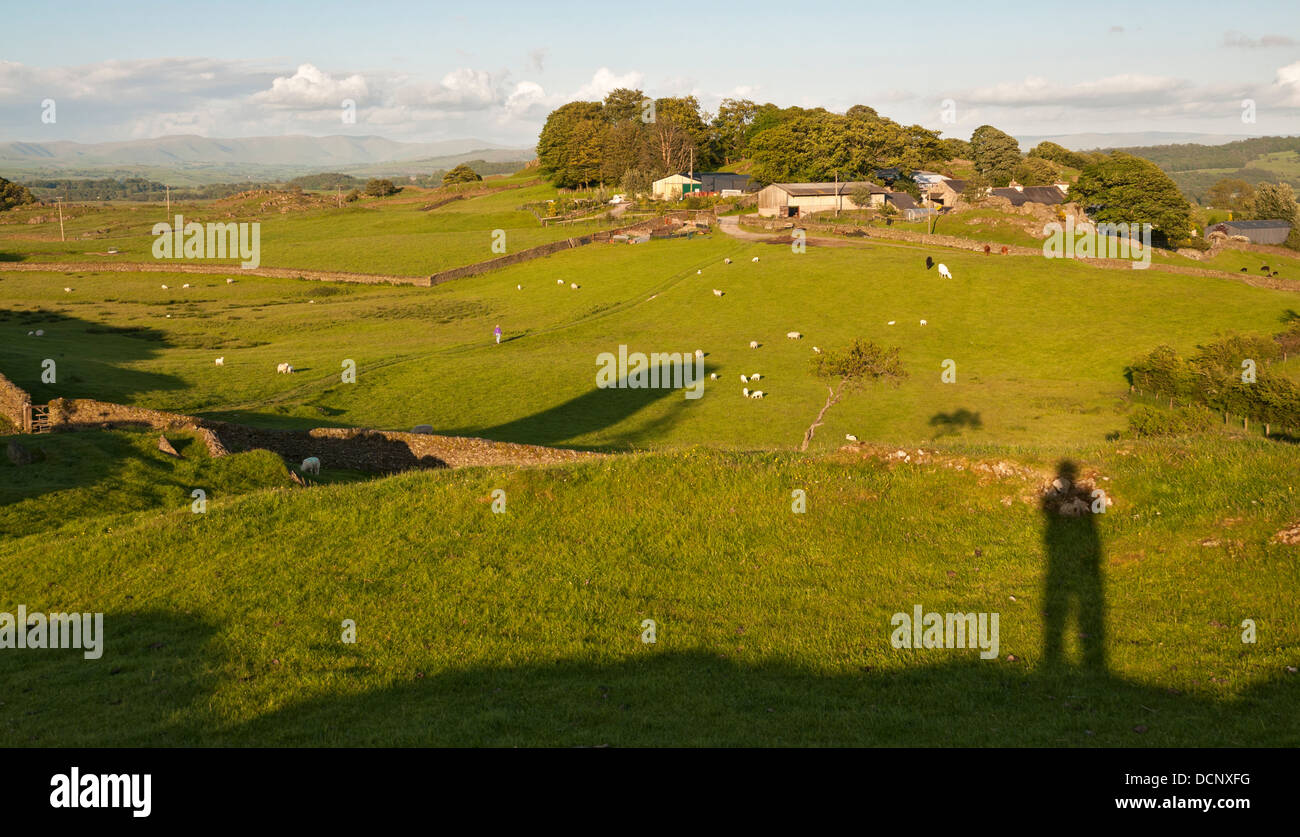 Great Britain, England, Cumbria, Lake District, Crook, Crook Hall Farm Bed and Breakfast, working sheep cattle farm Stock Photo