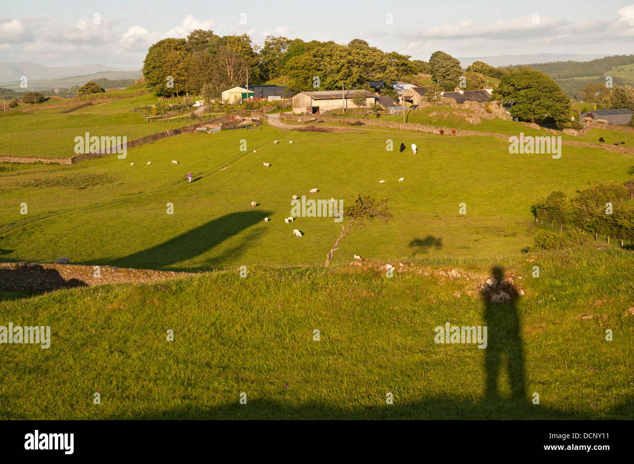 Great Britain, England, Cumbria, Lake District, Crook, Crook Hall Farm