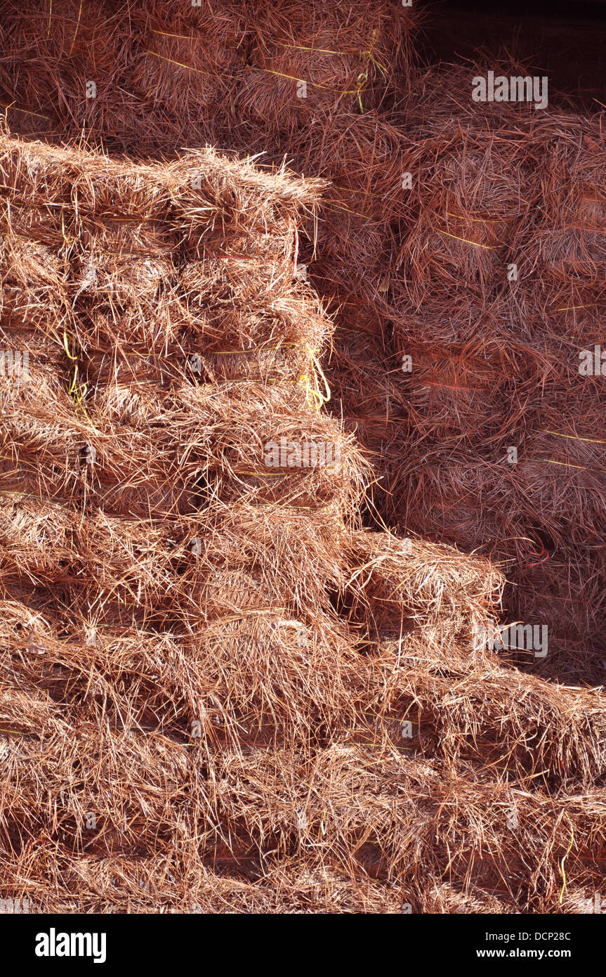 Pine Straw Mulch Stock Photo Alamy