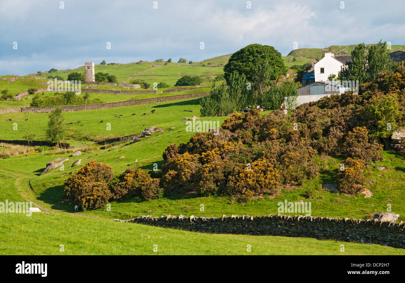 Great Britain, England, Cumbria, Lake District, Crook, Crook Hall Farm