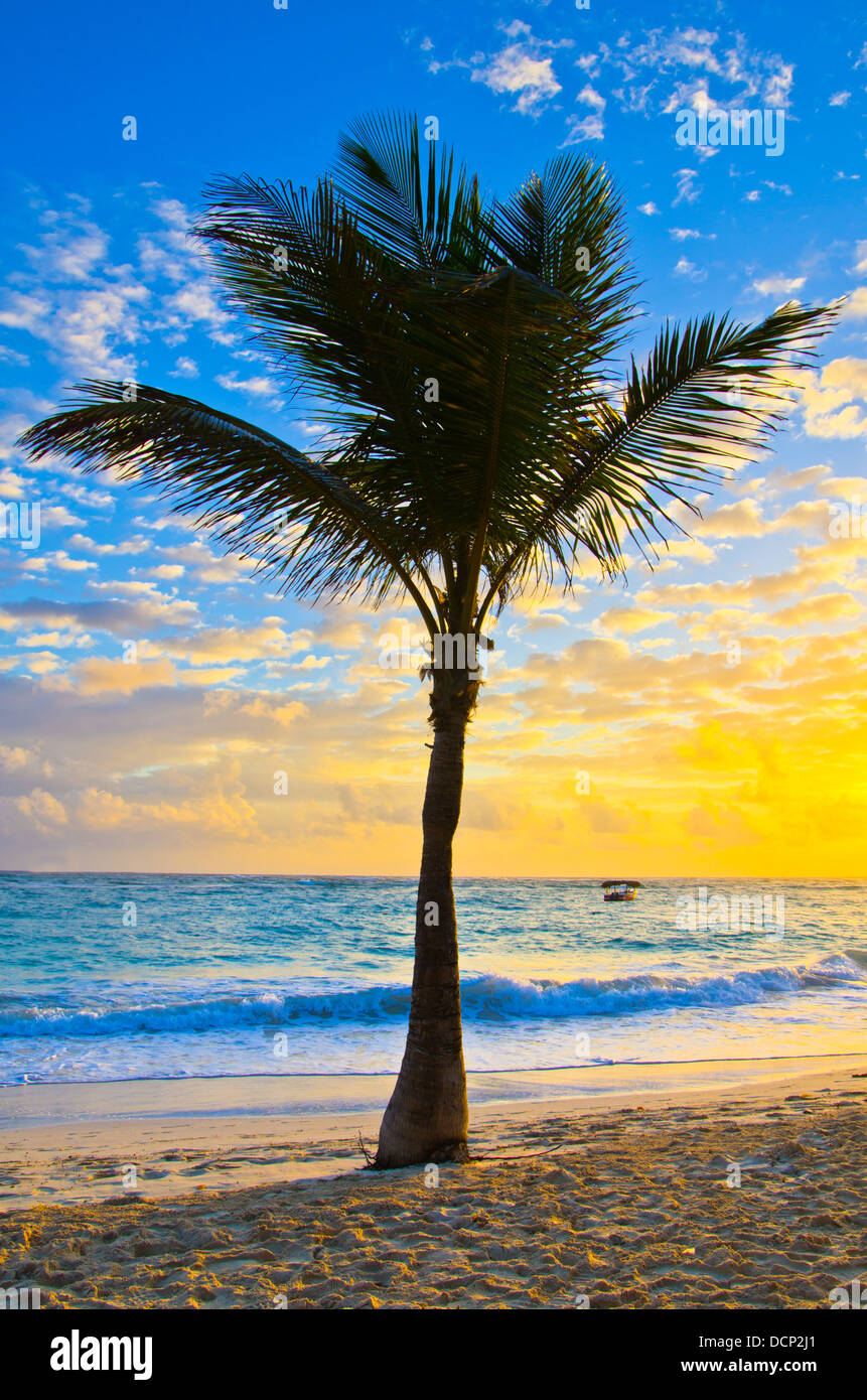 sunset the sea Stock Photo - Alamy