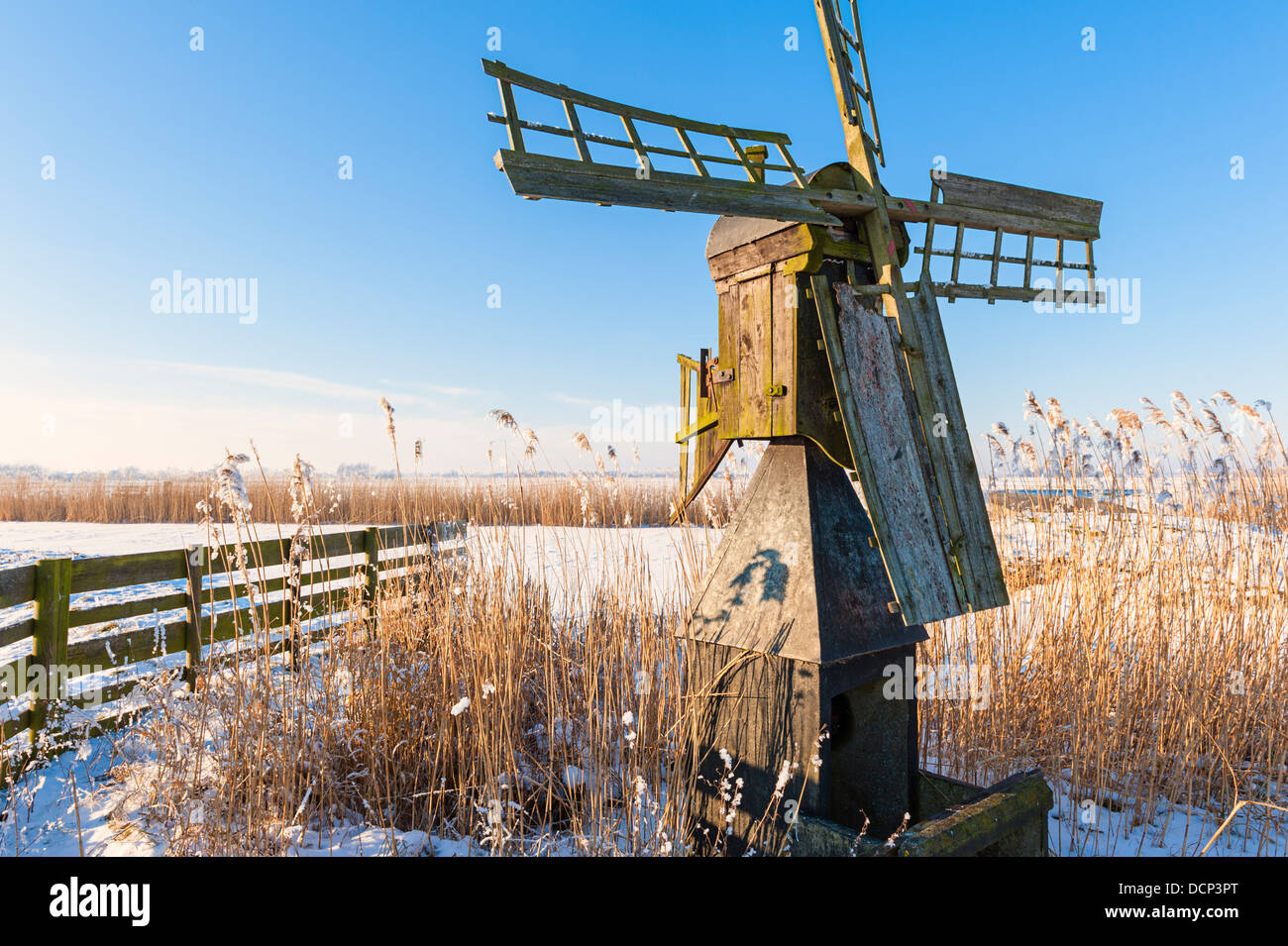 Dutch meadow mill in winter landscape Stock Photo