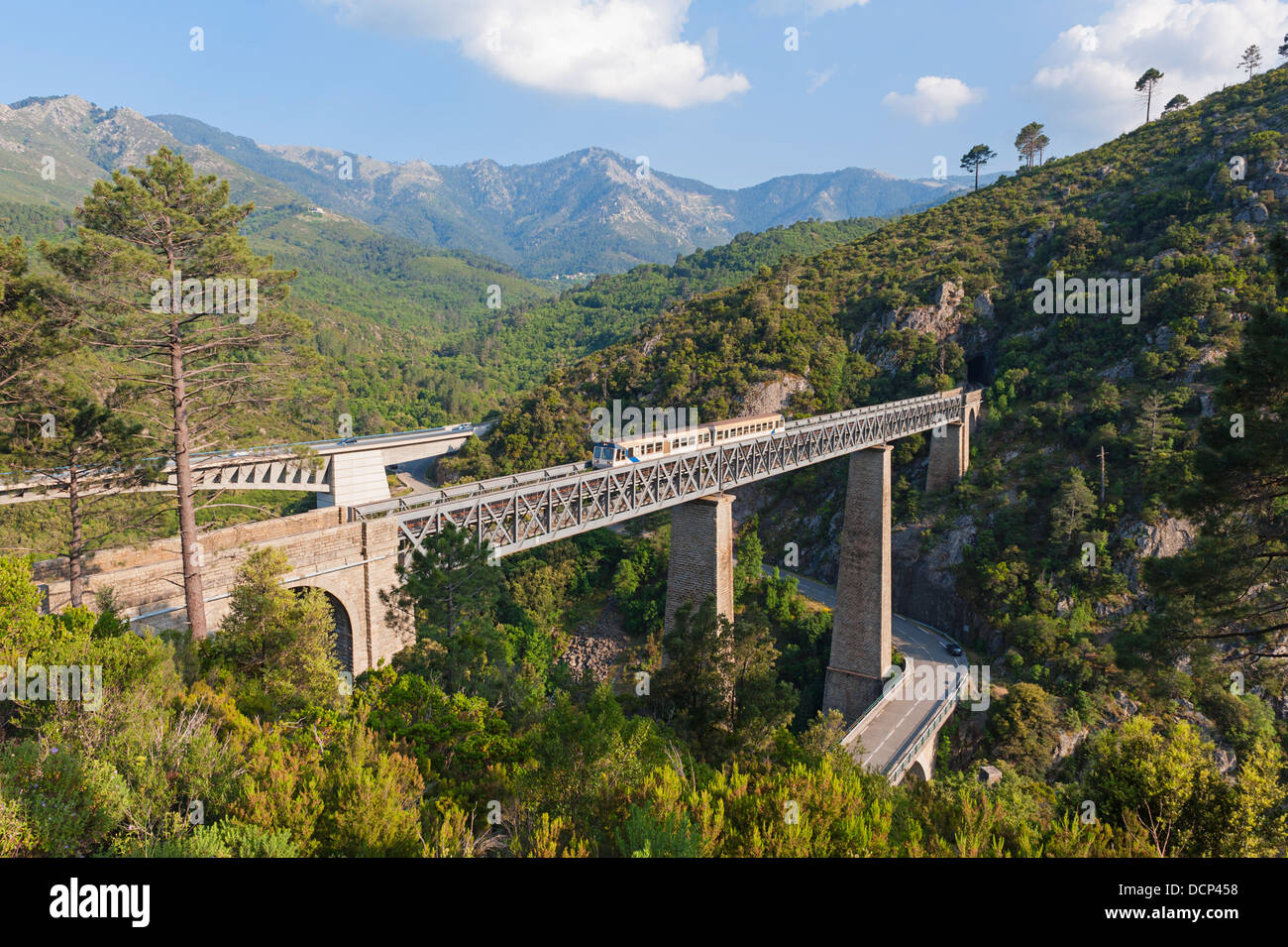 Train driving on large bridge in Vivario Corsica Stock Photo