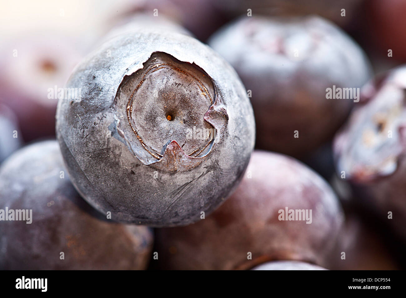 Macro shot of plump, ripe Blueberries Stock Photo