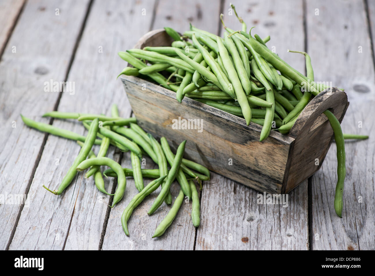 Vintage green beans hi-res stock photography and images - Alamy