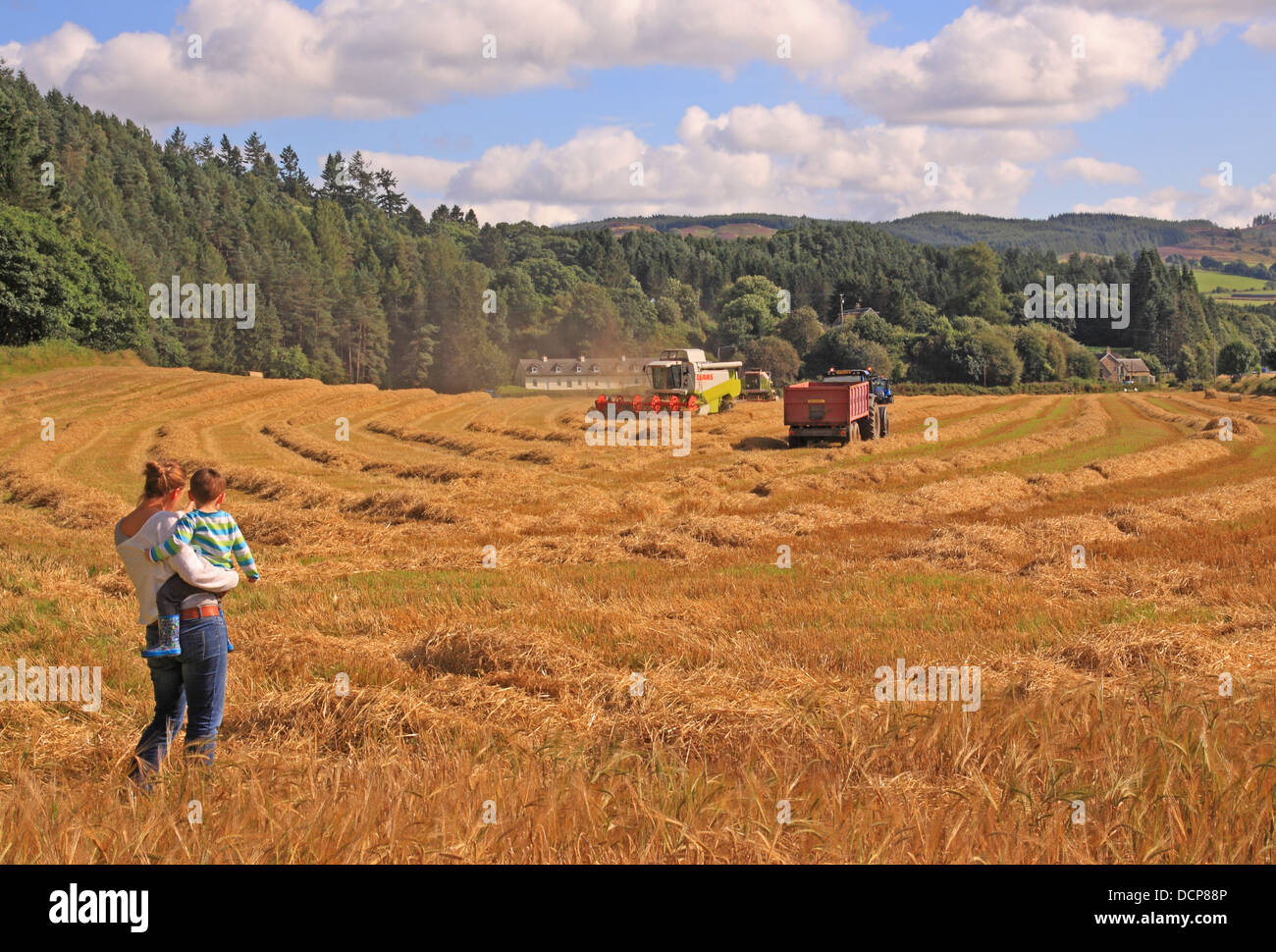 UK Scotland Perth and Kinross, Tayside, Farming Tay Valley Stock Photo