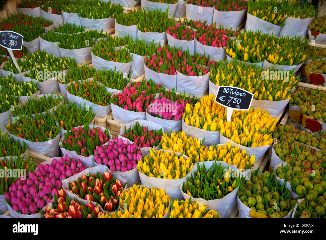 Bloemenmarkt Flower Market, Amsterdam, Netherlands, Europe Stock Photo