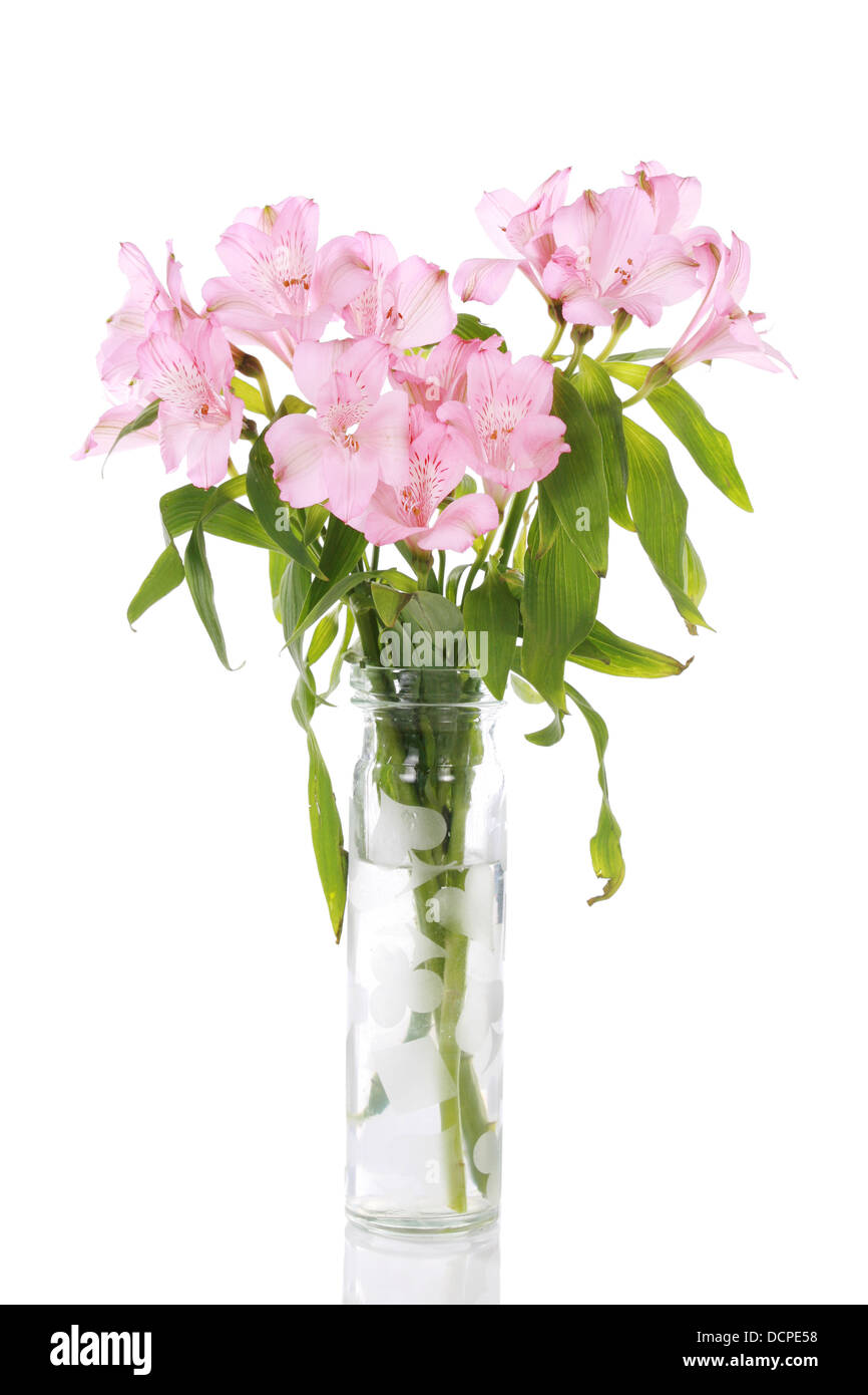Vase of pink lilies Stock Photo