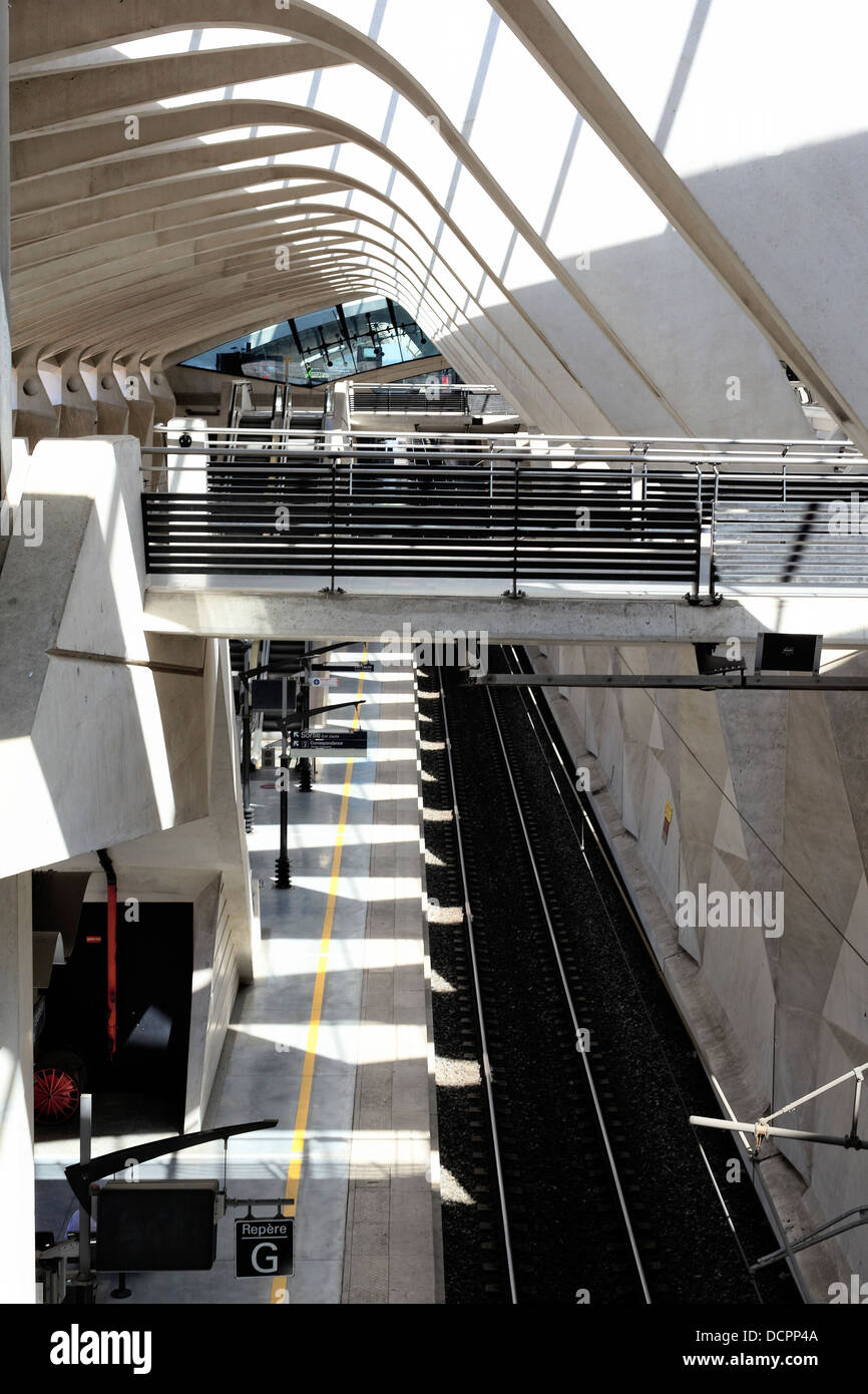 train station in Lyon airport Stock Photo Alamy