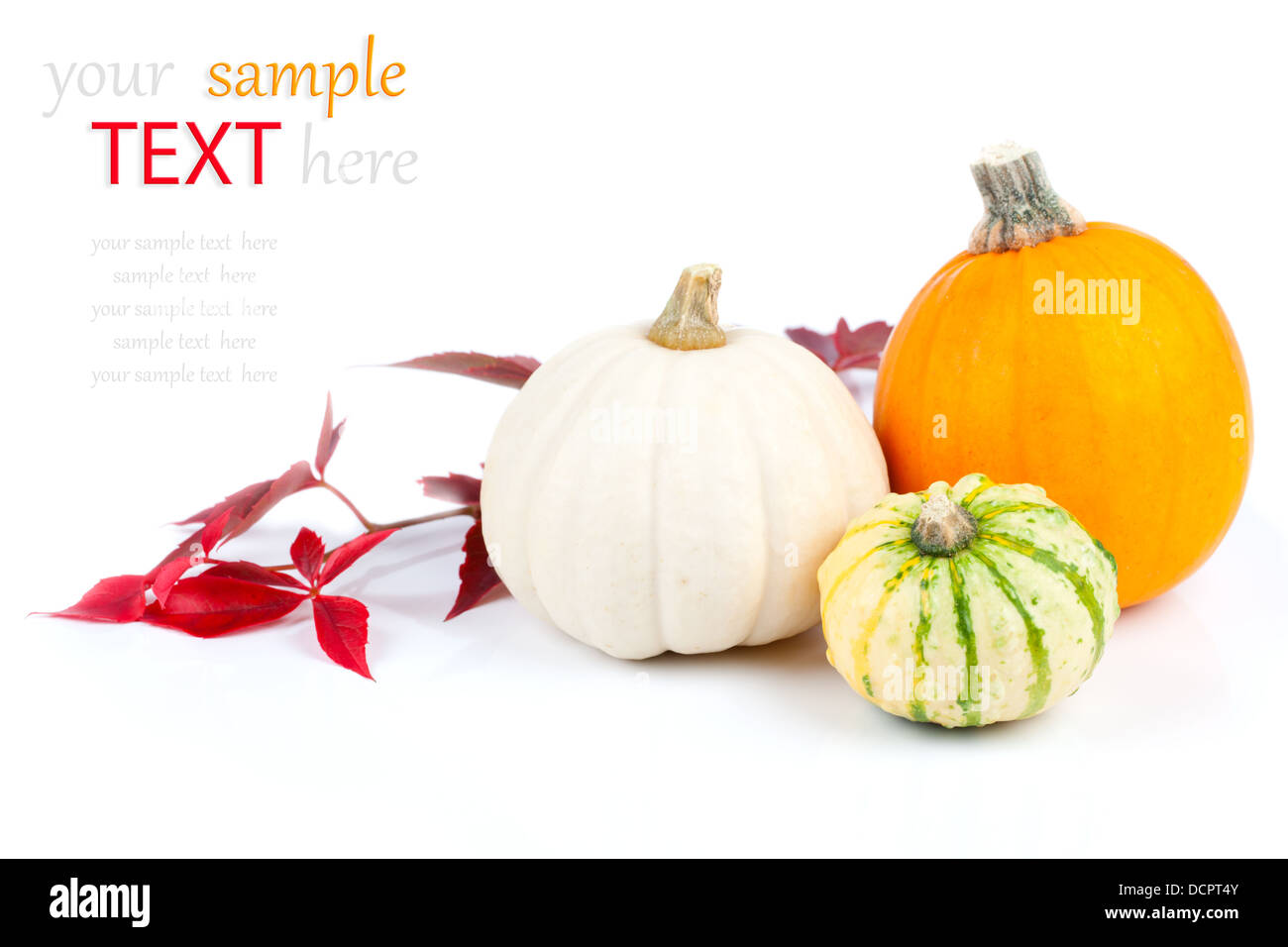 Autumn pumpkins with red leaves, isolated on the white background Stock ...