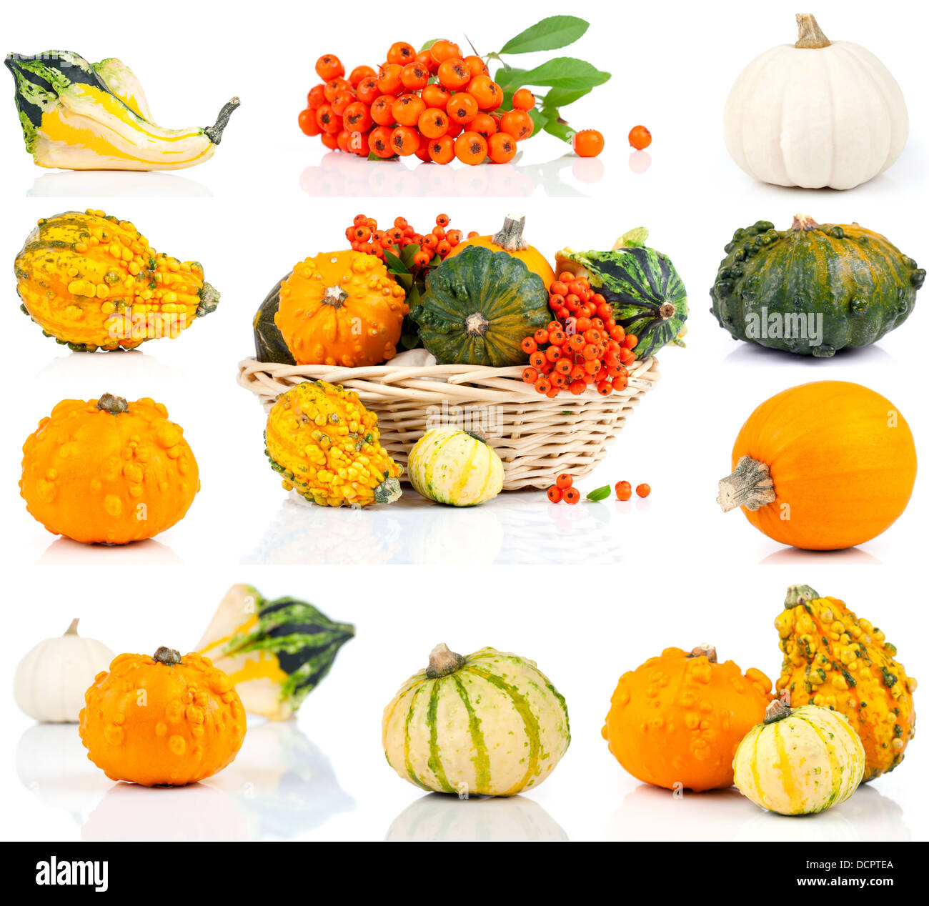 set of autumn pumpkins, isolated on the white background Stock Photo ...