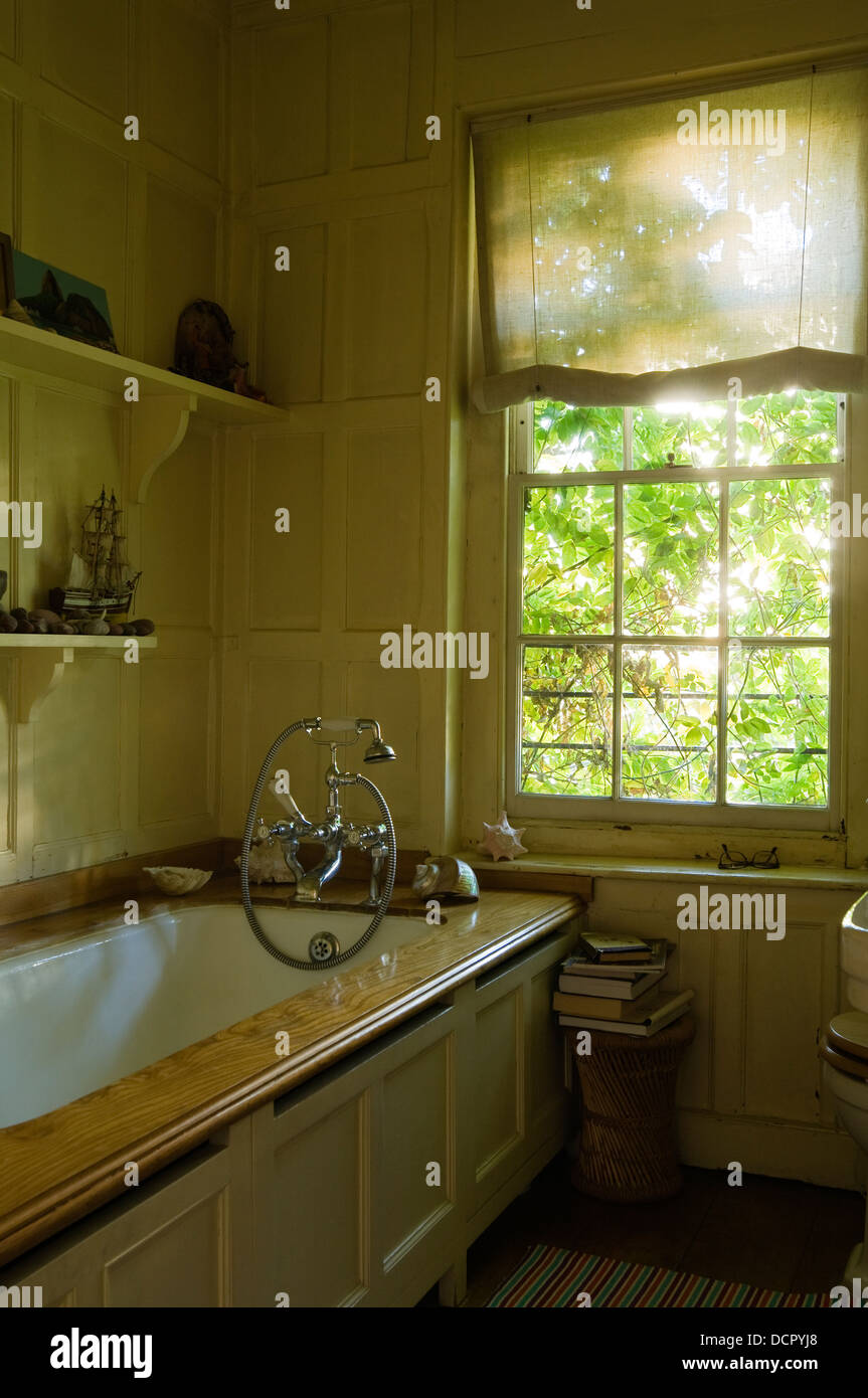Wood paneled bathroom bathed in afternoon light Stock Photo