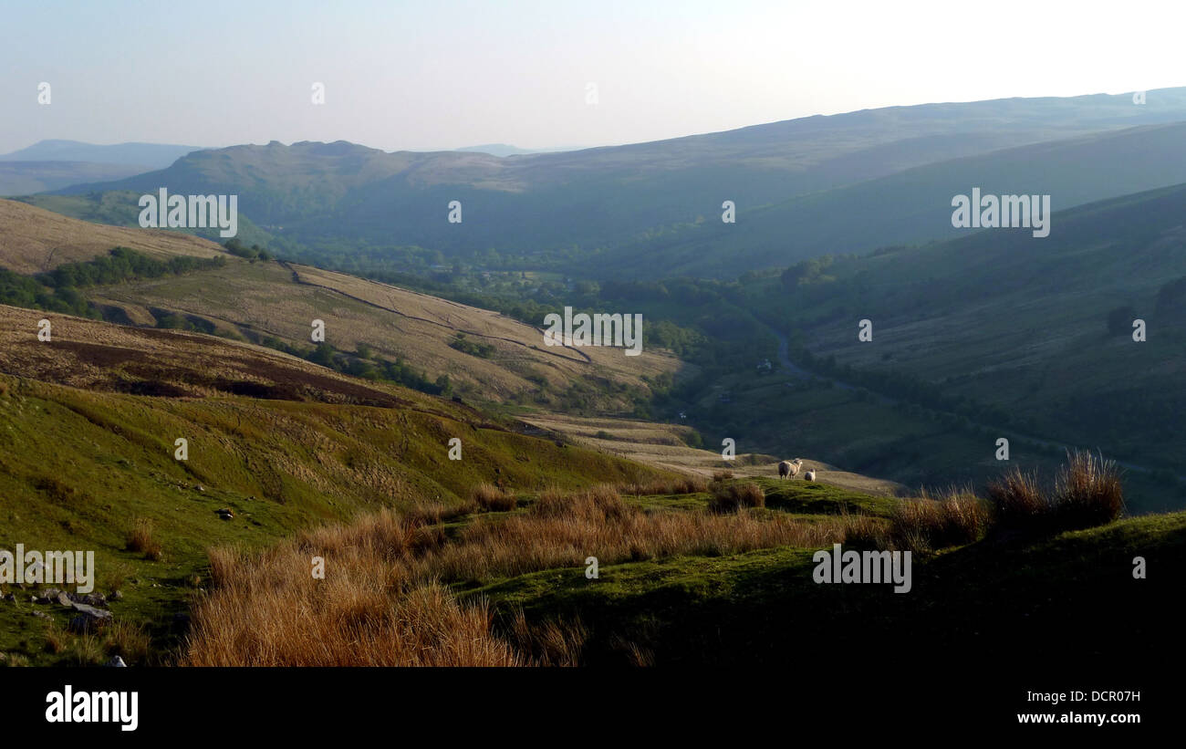 Swansea Valley, View toward The Cribarth above Craig y Nos, from the lower slopes of Fan Gyhirych Stock Photo