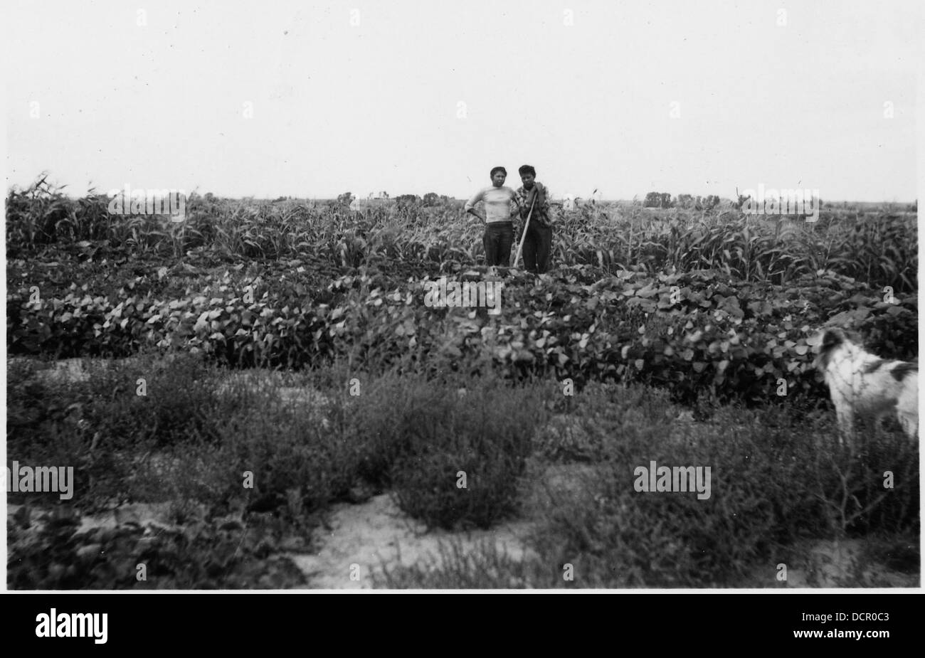 American indian reservation family Black and White Stock Photos ...