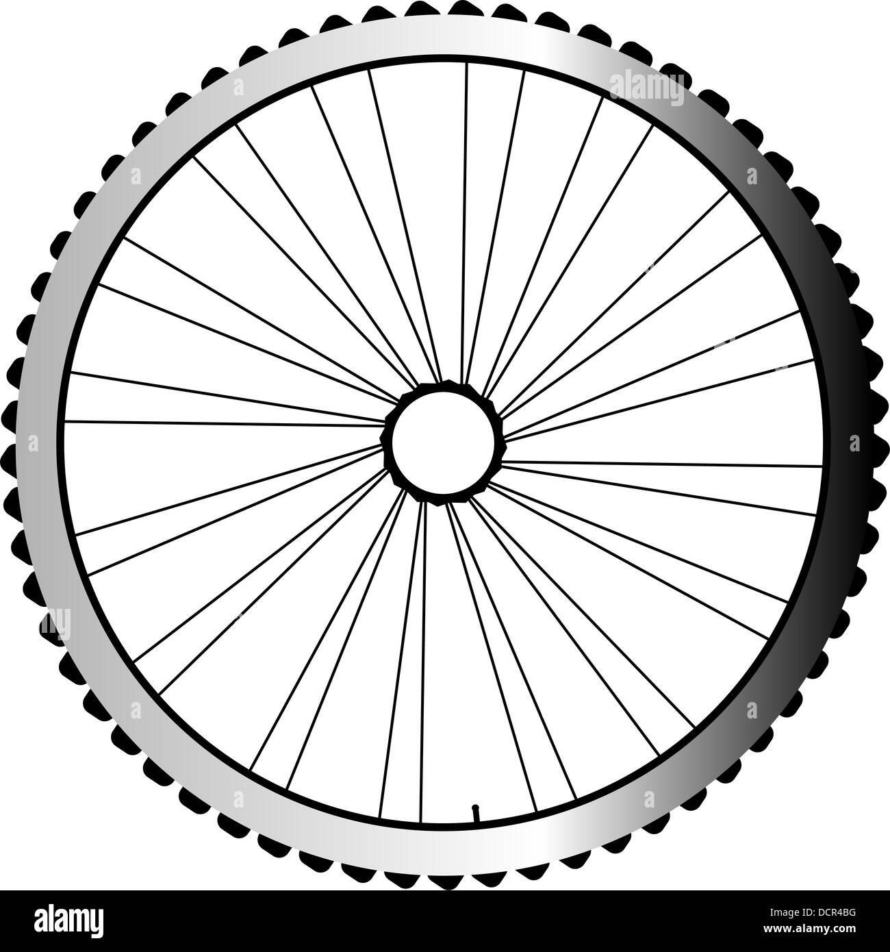 Bike wheel isolated on white background Stock Photo Alamy