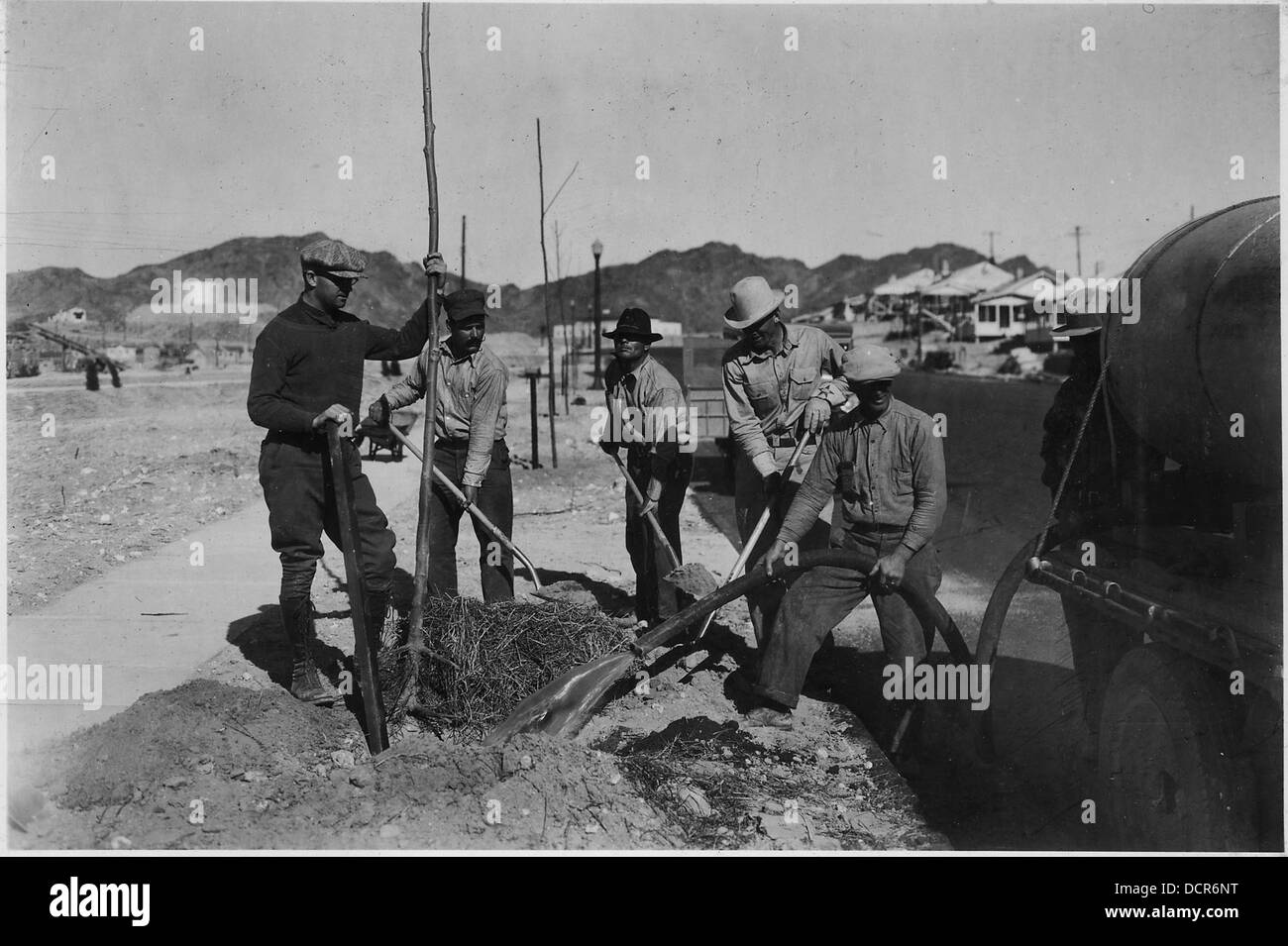 Planting trees in parkways along Boulder City Streets. Chief landscape gardener Wilbur W. Weed, in charge of this... - - 293621 Stock Photo