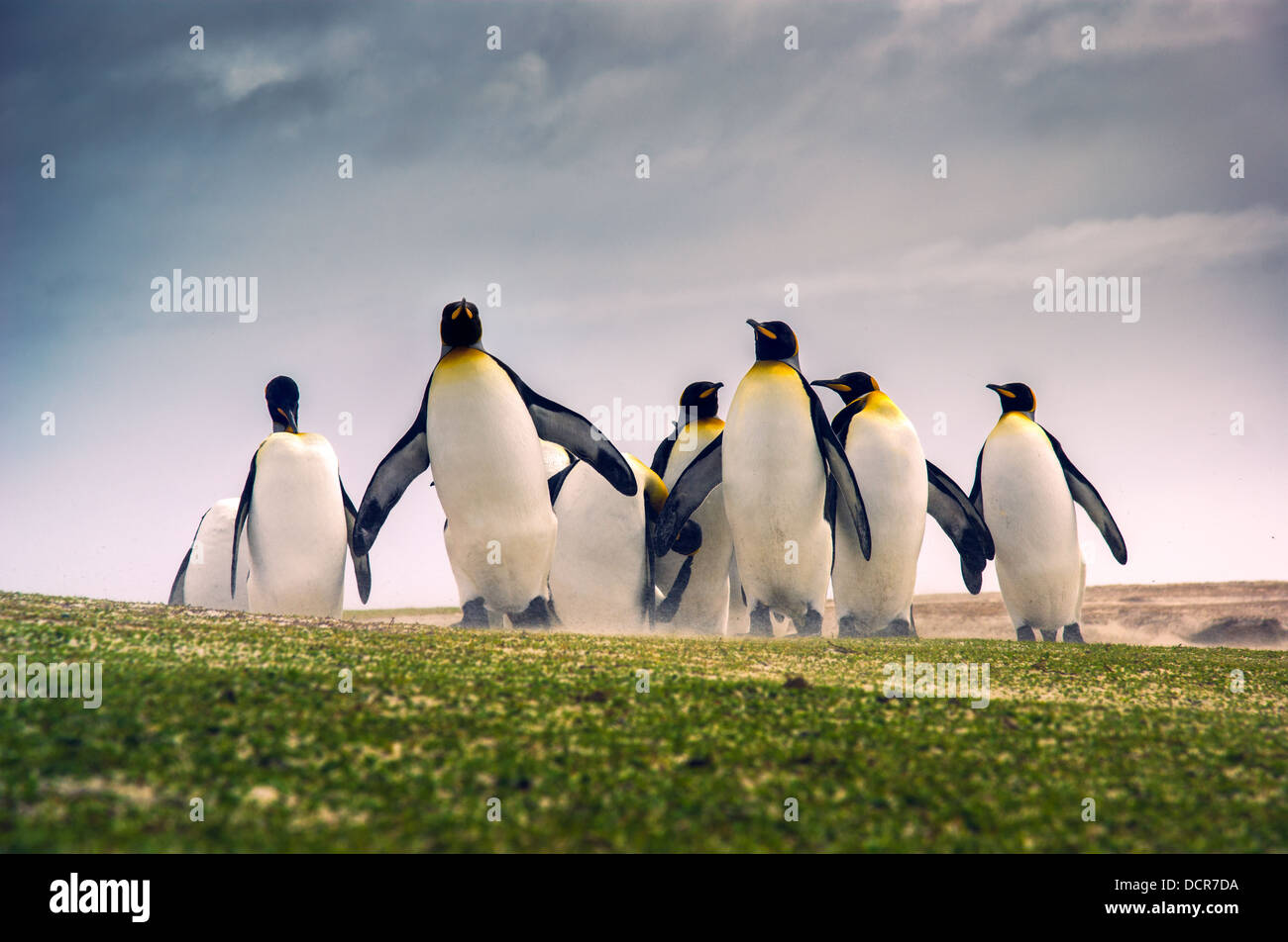 Exploring nature and animals hi-res stock photography and images - Alamy