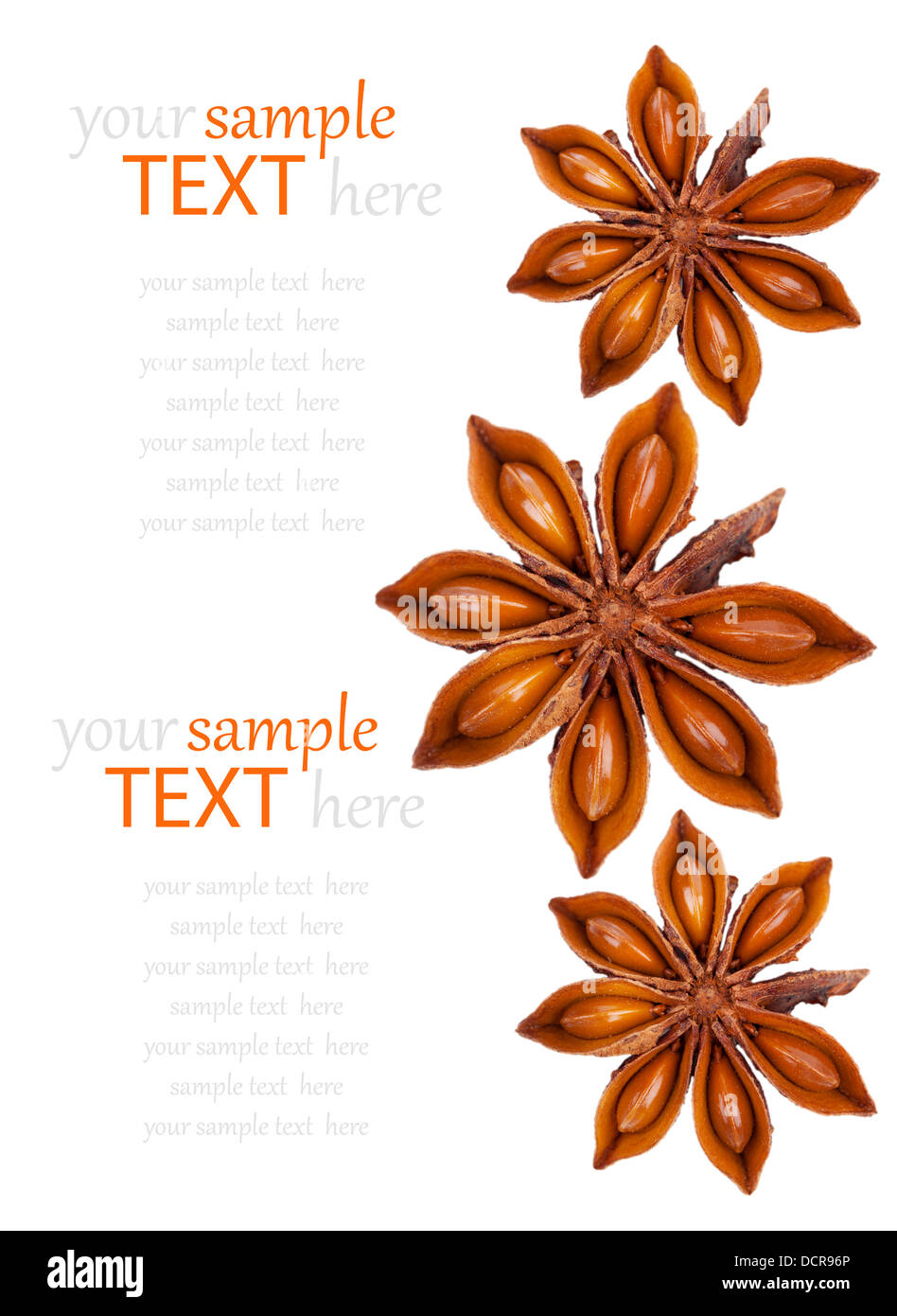 Whole Star Anise isolated on white background, with copy space Stock Photo Alamy