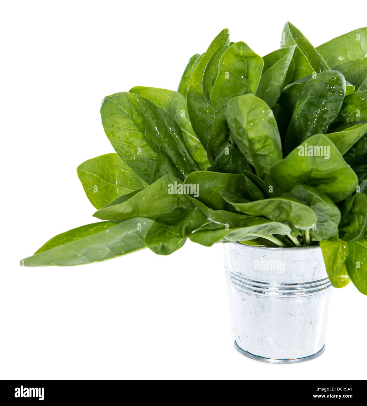Spinach Leaves isolated on white background Stock Photo - Alamy