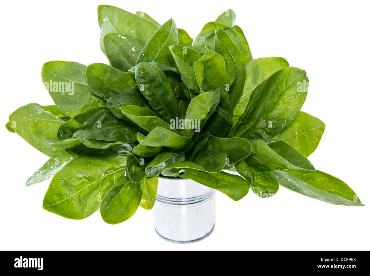 Portion of Spinach isolated on white background Stock Photo - Alamy