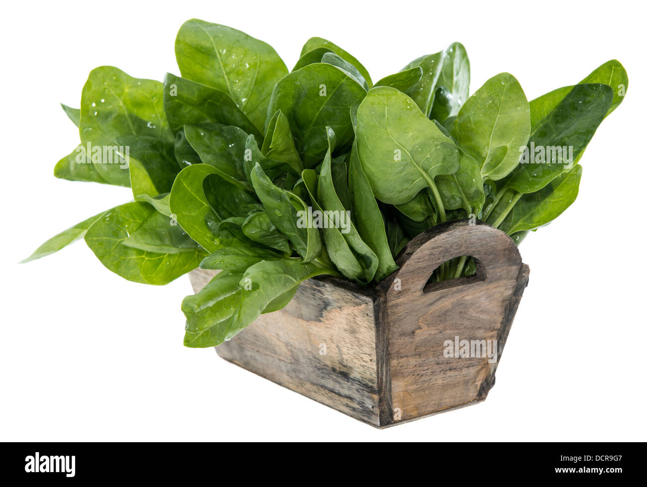 Spinach Leaves isolated on white background Stock Photo - Alamy