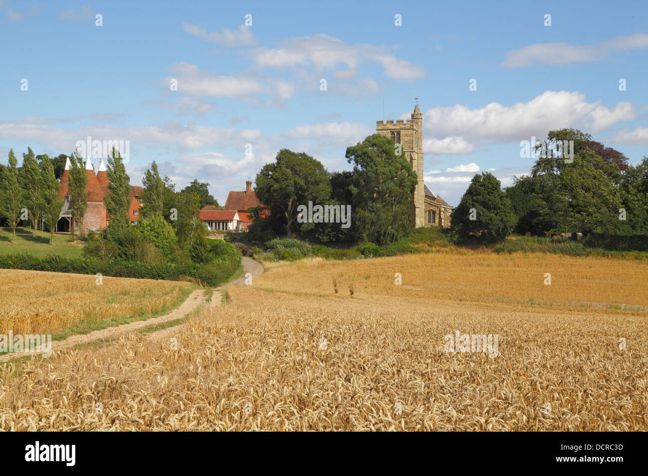 Farm track through wheat fields at harvest time, oast house and St Margaret's church, Horsmonden Kent England UK Stock Photo