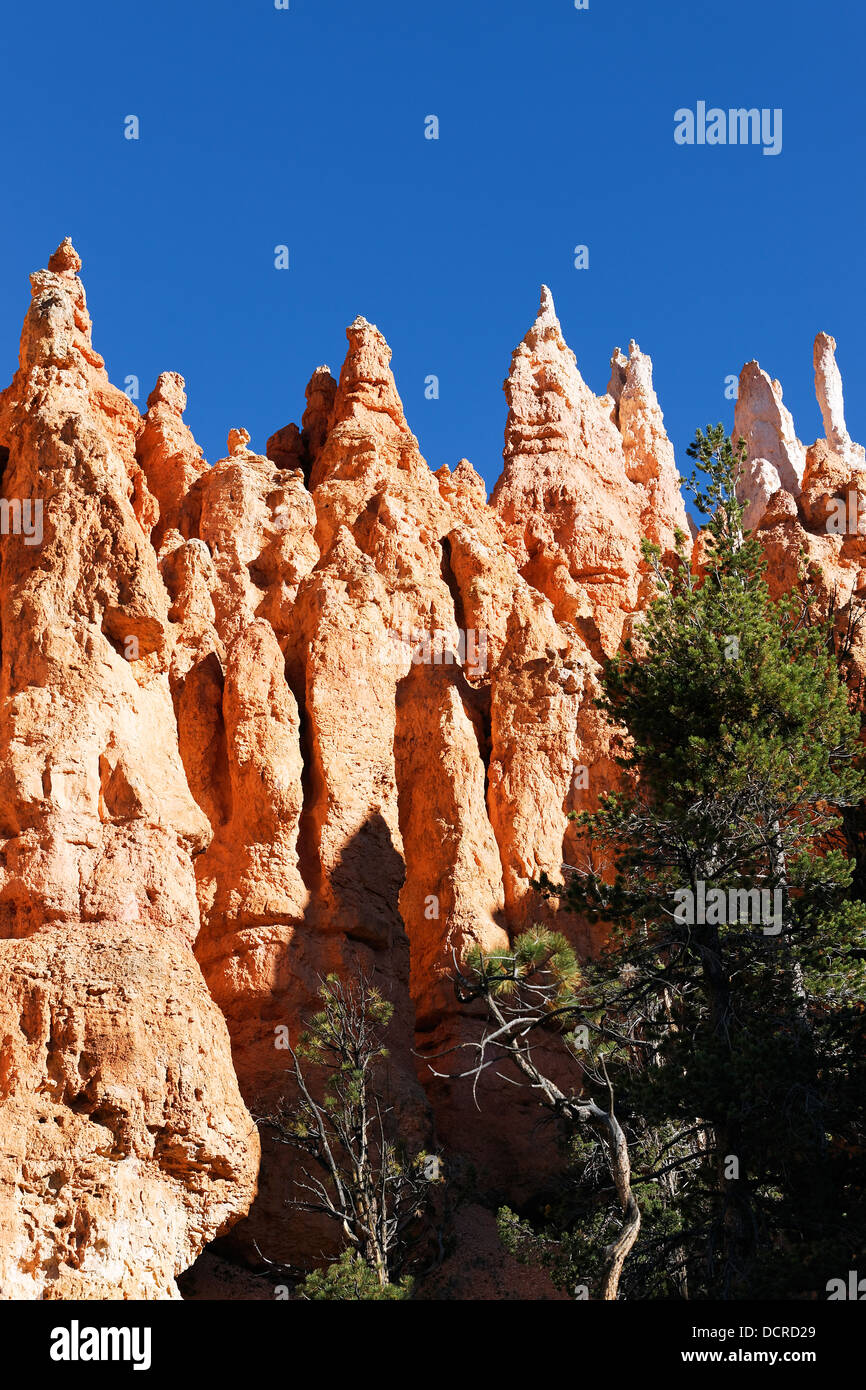 Hoodoo sandstone rock spires hi-res stock photography and images - Alamy