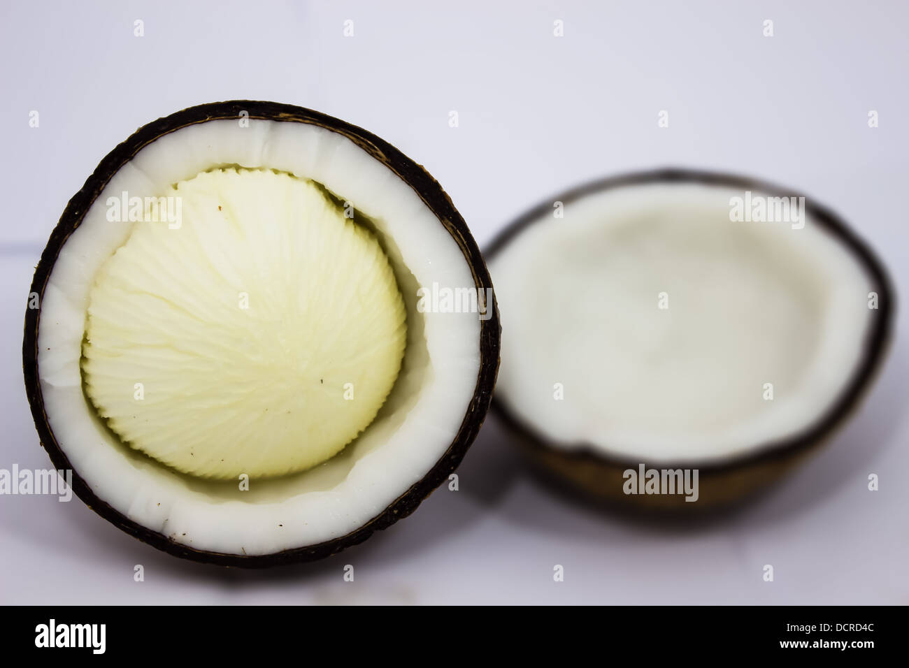 white embryo of coconut Stock Photo