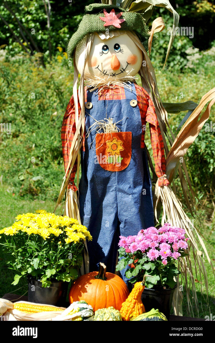 Farmers scarecrow hi res stock photography and images Alamy Farmers scarecrow hi res stock photography and images Alamy