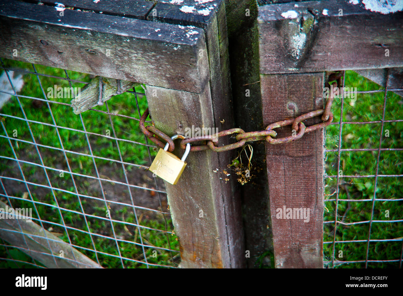 Padlock and chain on wooden gate Stock Photo Alamy