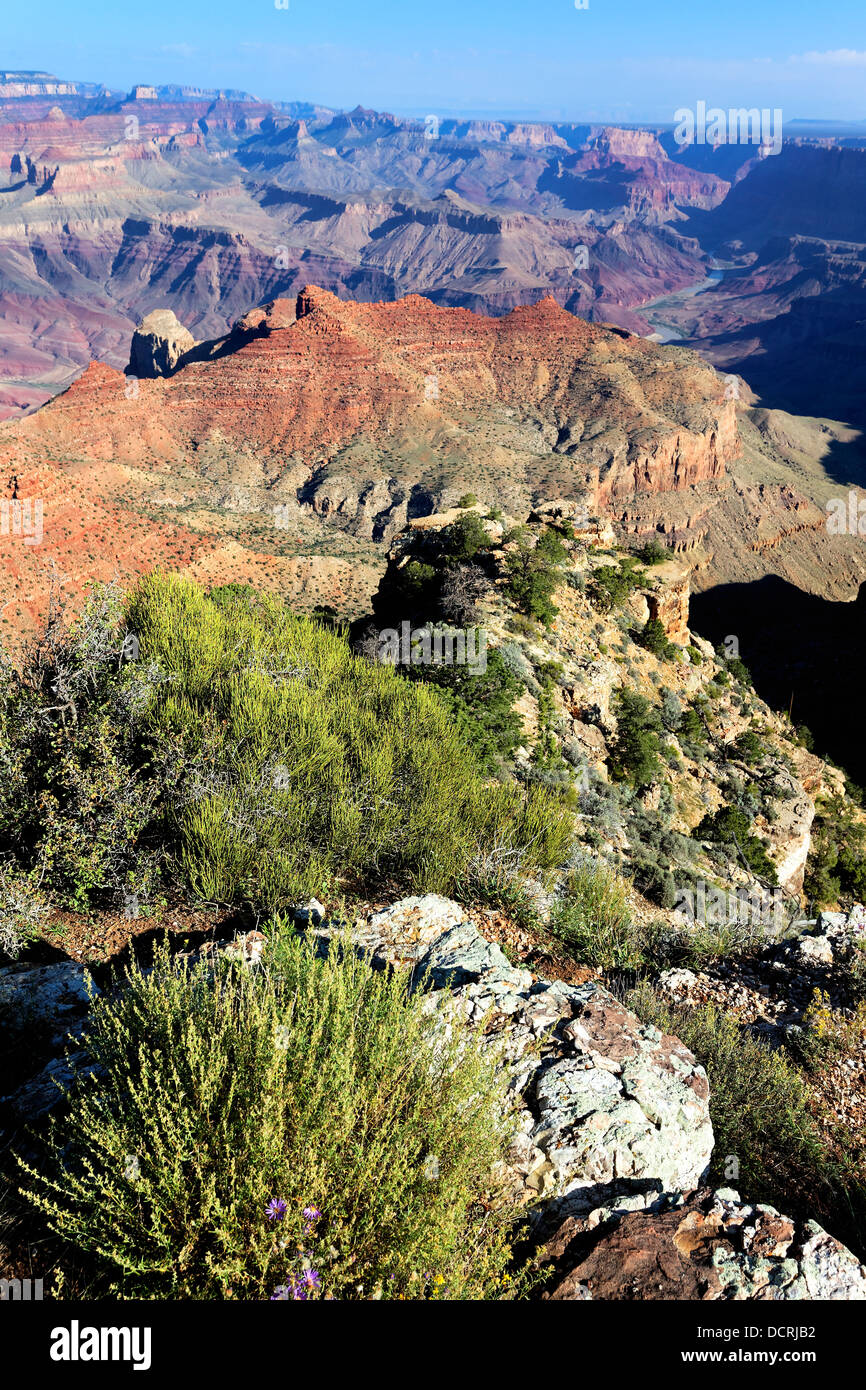 famous Grand Canyon Stock Photo Alamy