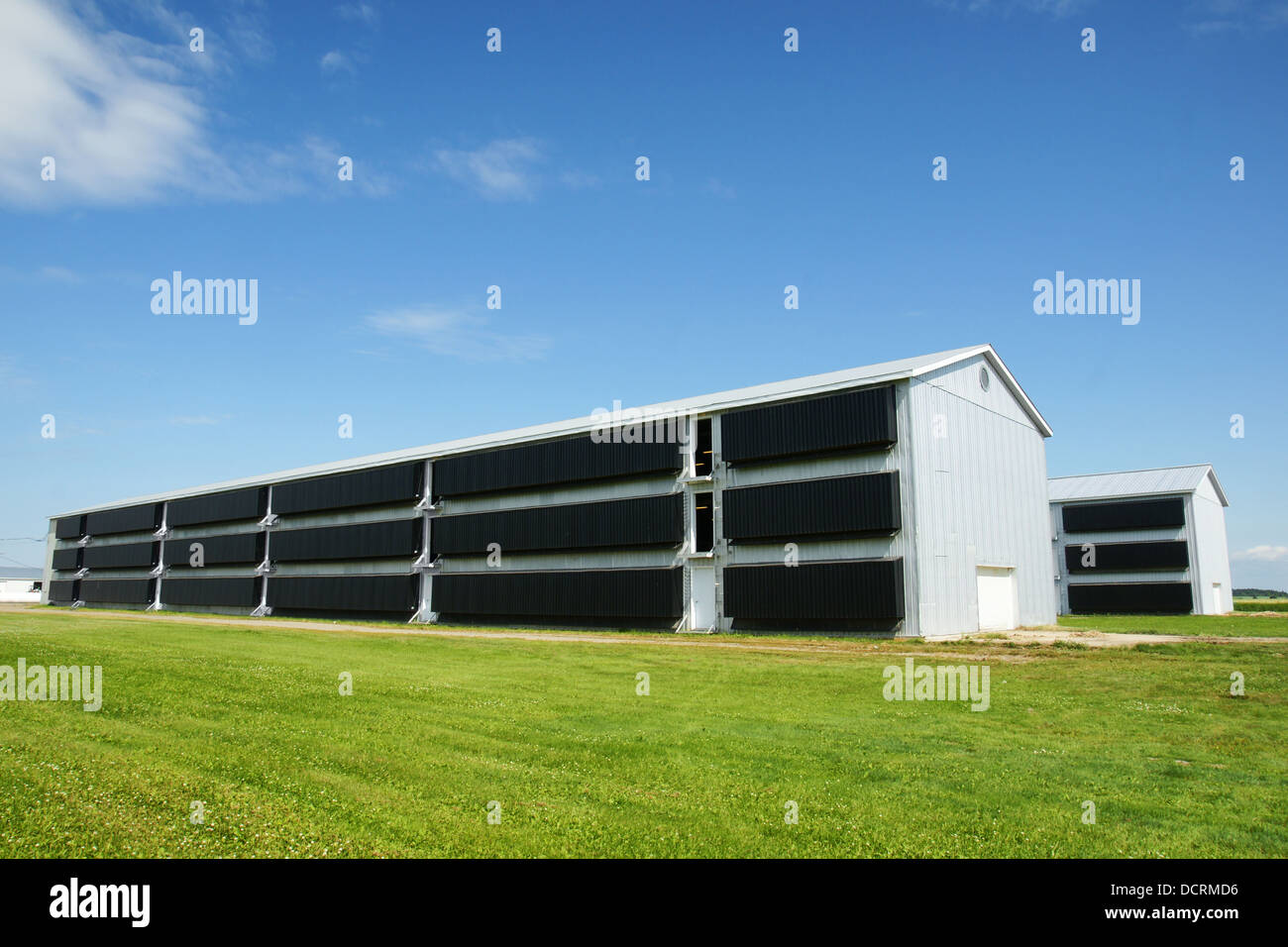 Commercial chicken barn hires stock photography and images Alamy